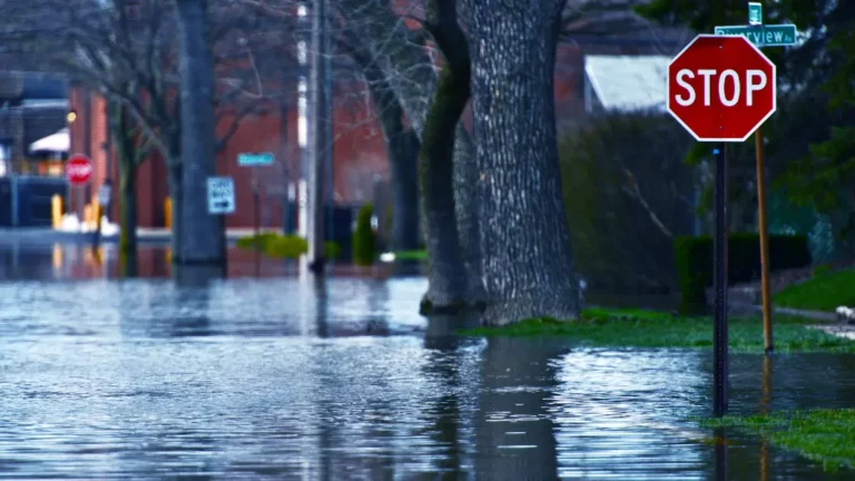 Emergency Flood Repair: Restoring Your Home After a Disaster